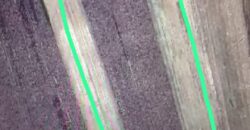 Teren strategic de vânzare în Nojorid – Bihor!