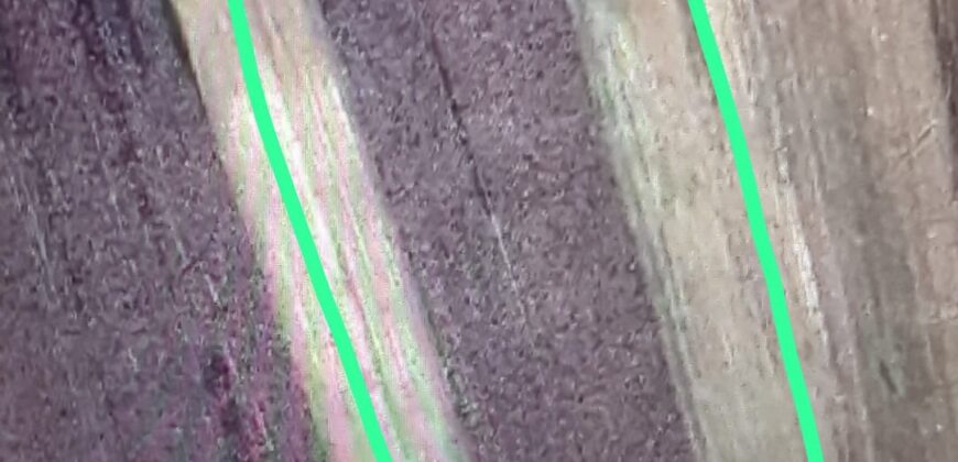 Teren strategic de vânzare în Nojorid – Bihor!